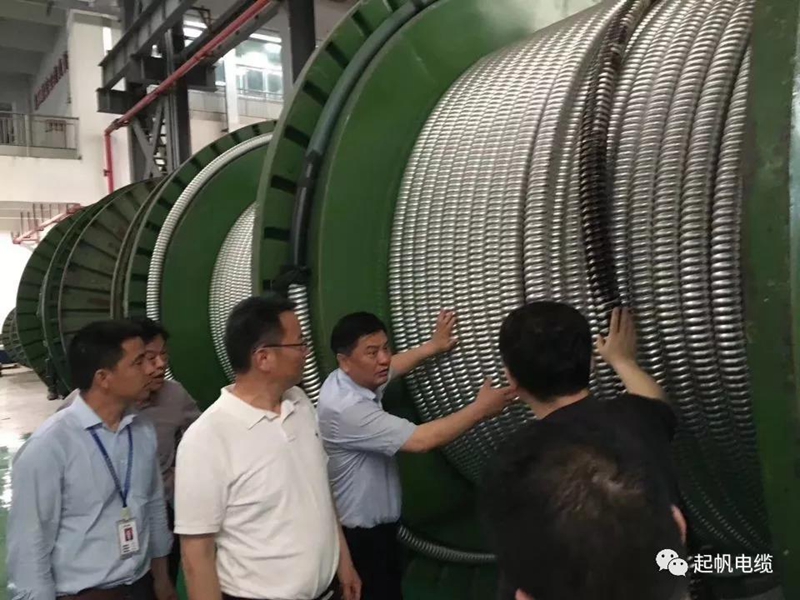 池州市长雍成瀚等参观调研起帆电缆总部5